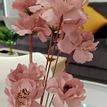 Parking Y Piscina Incluido Appartement *